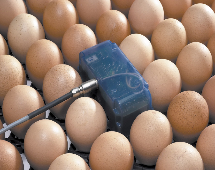 Датчик на яйцо в инкубаторе. Школа ИНКУБАТОРОСТРОЕНИЯ. Датчик на яйцо в инкубаторе купить. Скалк сенсор яйцо.